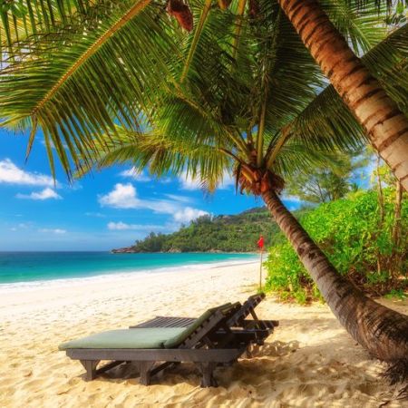 Sun loungers on a Mahe beach