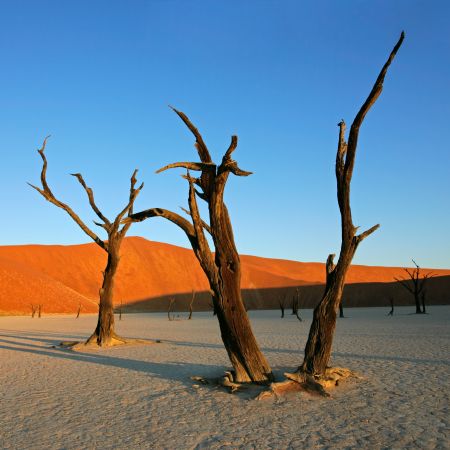 Sossusvlei Photography