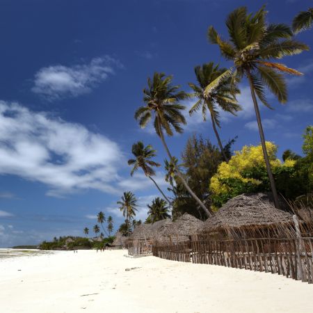 Quiet Beach In Zanzibar