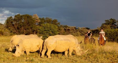 Horse riding in the Waterberg area of South Africa.