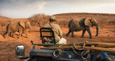 Madikwe is probably the best malaria-free game reserve in South Africa.