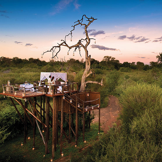 Sleep Under The Stars In Kruger