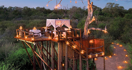 Sleep Under The Stars in A Tree House