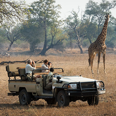 Game Drive in Zambia