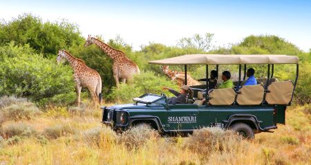 Enjoying a family safari at Shamwari.