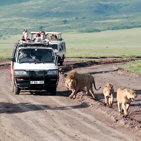 Budget driver-guide safari in East Africa.