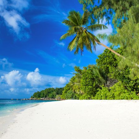 Anse Severe Beach, La Digue