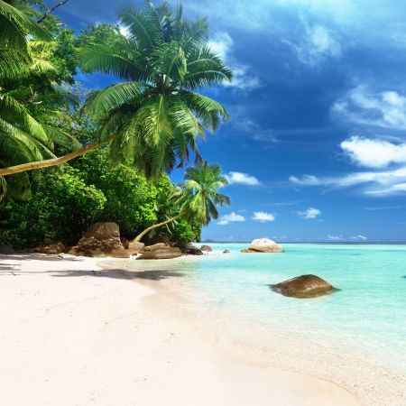 Seychelles Beach