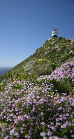 View towards the Cape Point lighthouse