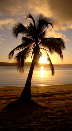 Sunset on a Mozambique beach