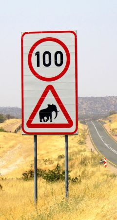 Beware of the elephants road sign.