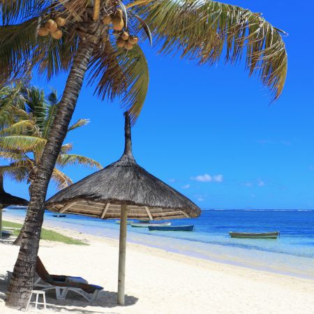 Deserted Beach In Mauritius