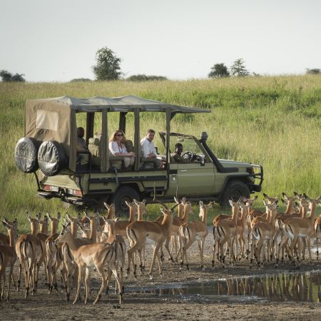 Game-viewing in East Africa.