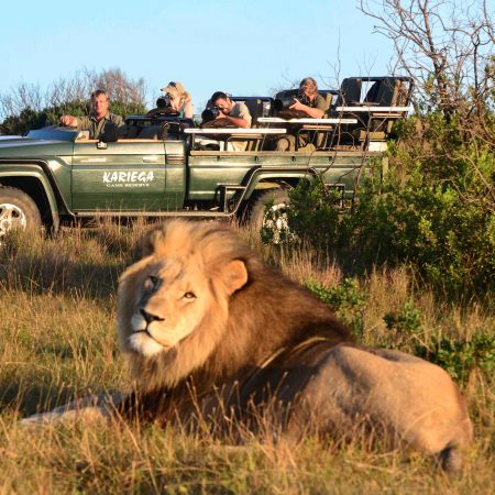 Game Drive Encounter