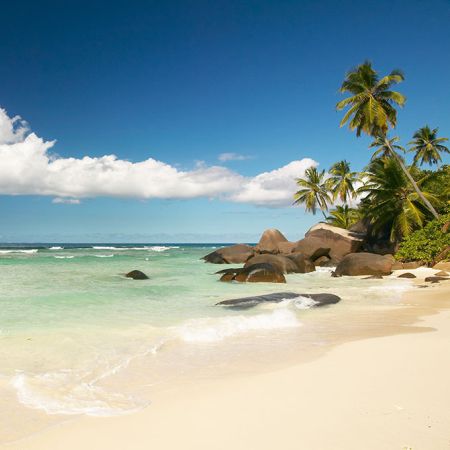 Silhouette Island beach and boulders