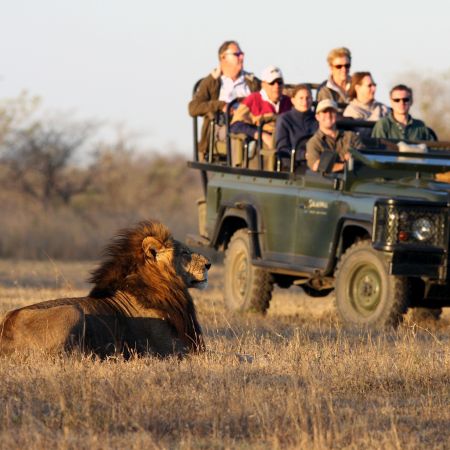 Lion & Game Drive Vehicle, Sabi Sands, South Africa