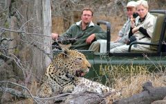 Leopard Photos Taken By Our Guests and Travel Butlers
