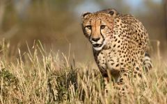 KwaZulu-Natal Special Offers