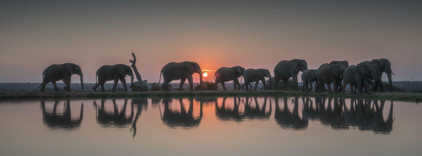 Alternative Wildlife Experience in South Africa