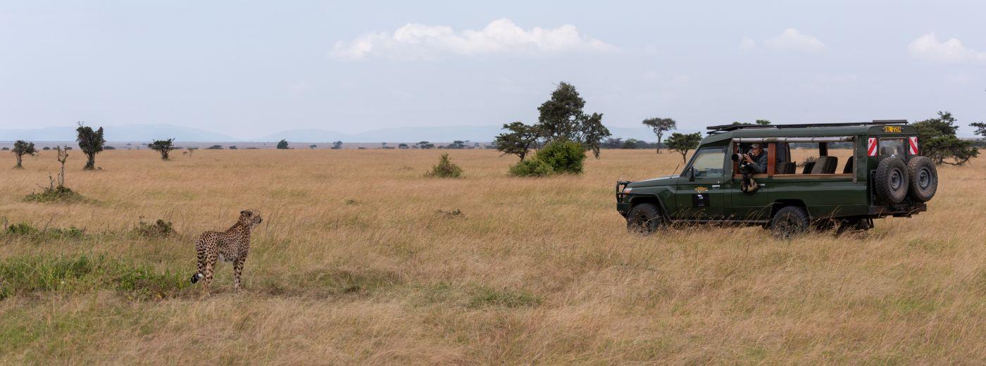 Kenya's Wildlife and the Indian Ocean Beaches