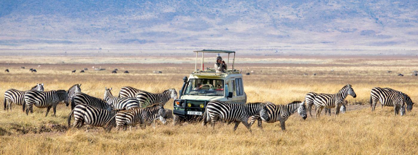 Discover Tanzania's Amazing Wildlife And Beaches