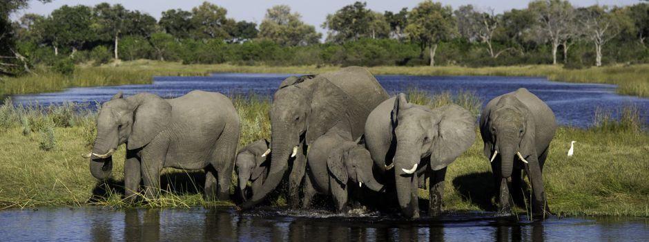 Six Countries Special