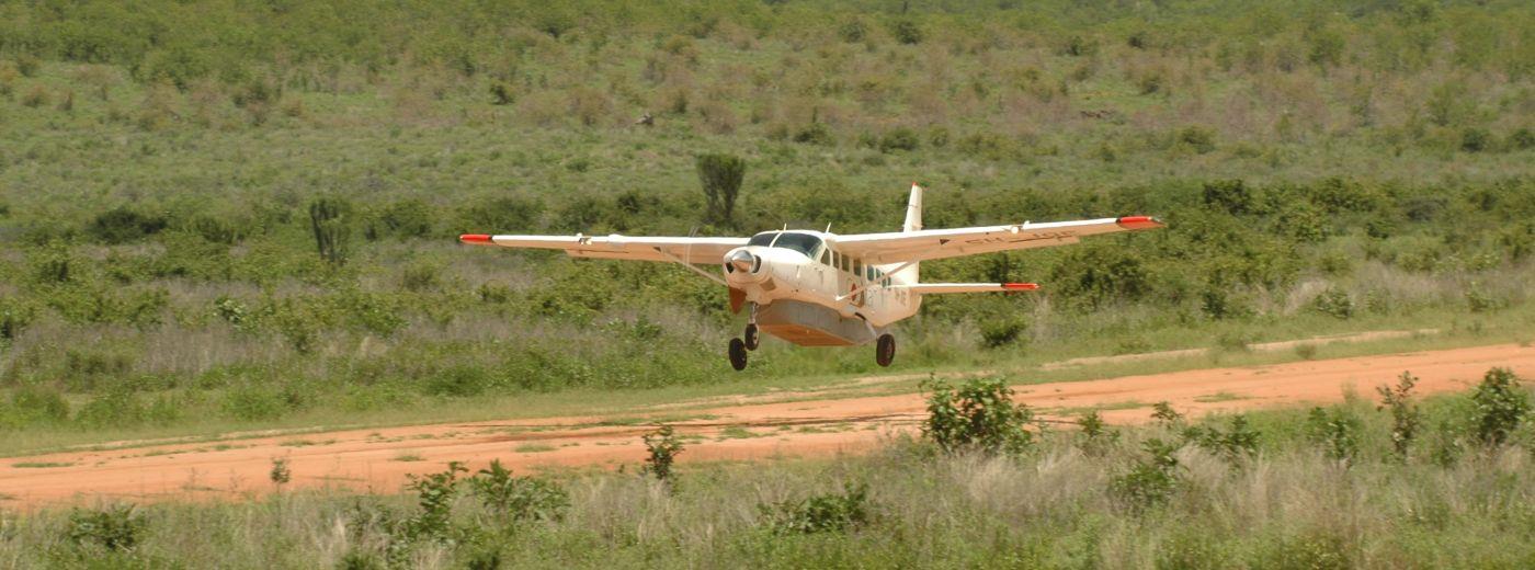 Tanzania Luxury Fly-In Safari and Beach
