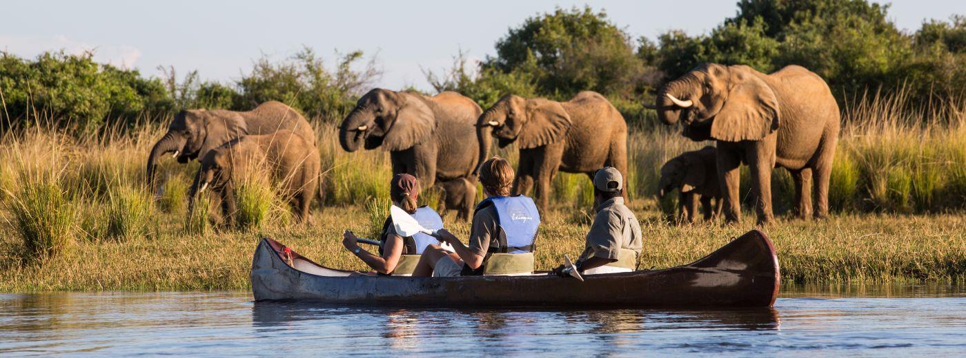 A Family Safari With Teenagers