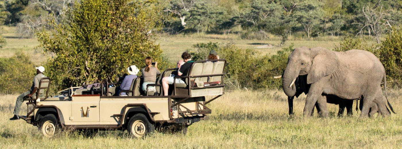 Royal Malewane - Luxury Kruger Park Safari Lodge - The Royal Portfolio