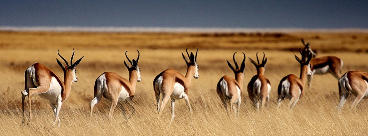 Namibia Holidays {?T:ThisYearNextYear?}