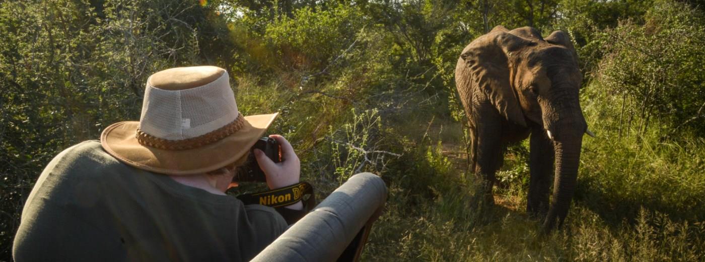 National Parks versus Private Reserves/Conservancies