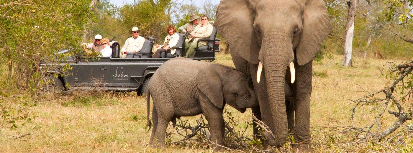 kruger park safari holidays