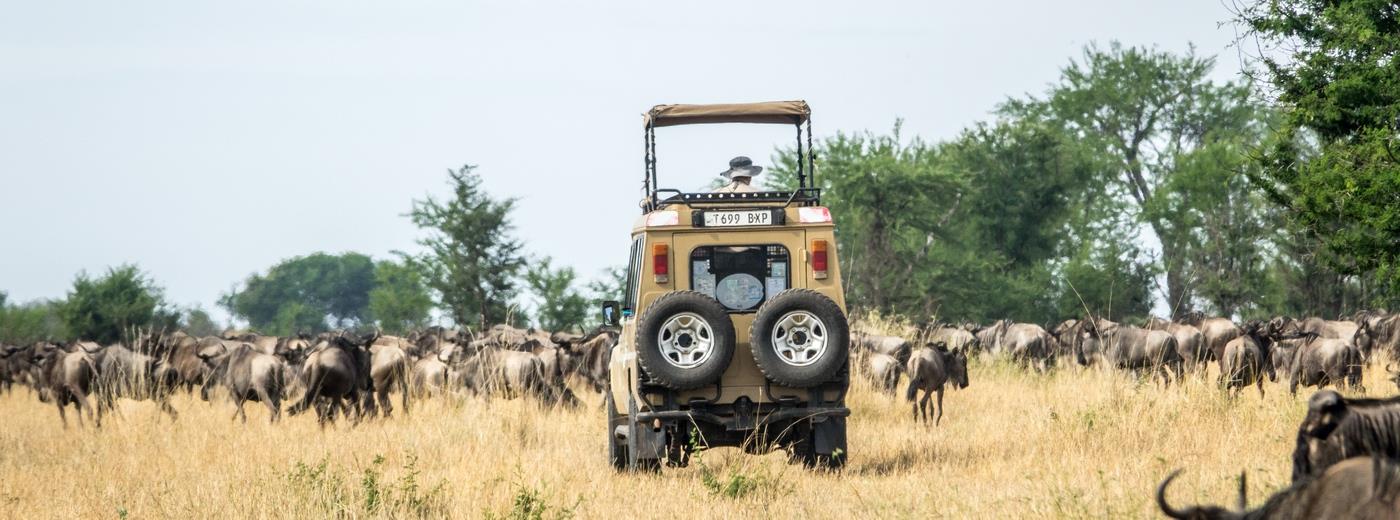 Tanzania Holiday Ideas for {?T:ThisYearNextYear?}