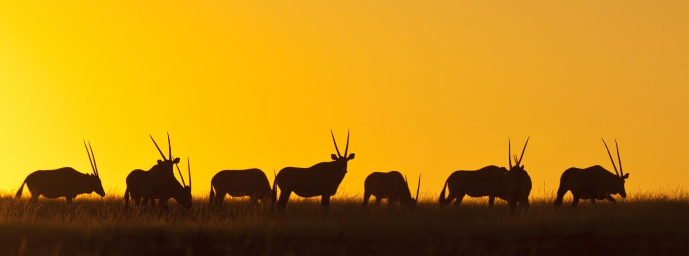 When Is The Best Time To Visit Namibia?