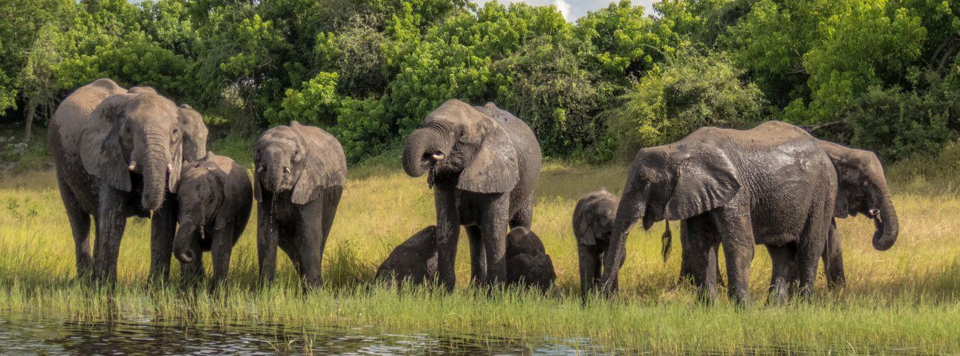 Where to go in Africa in March