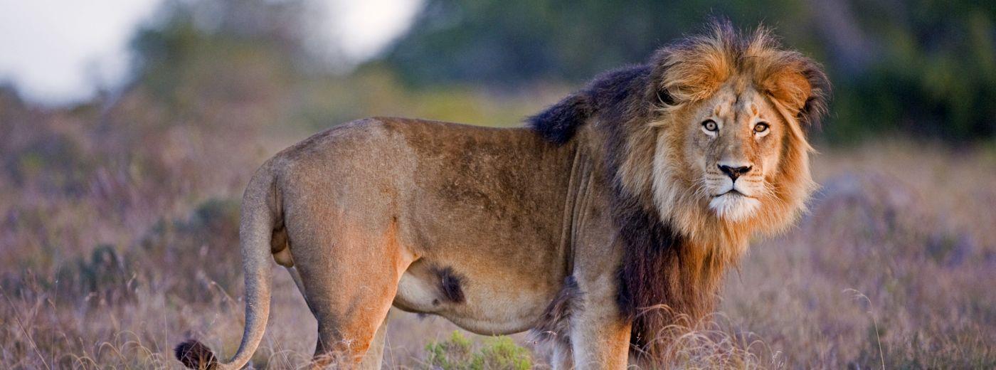 Where to go in Africa in July