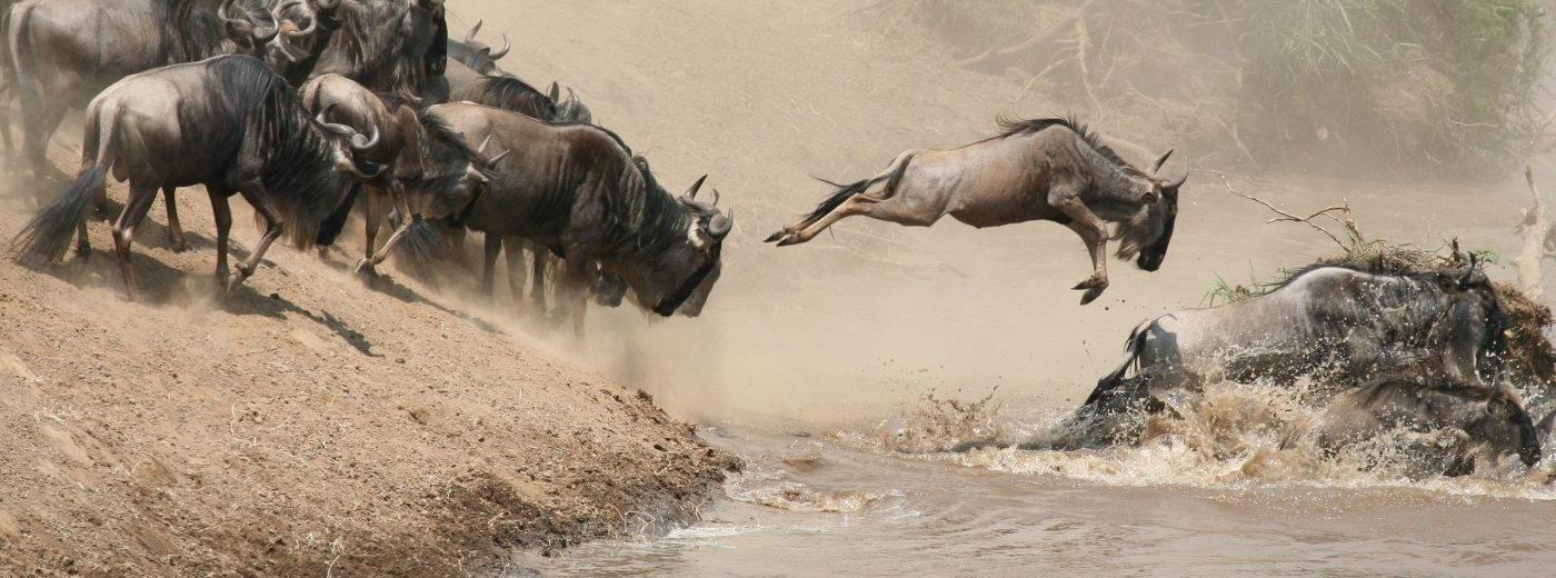 Where to go in Africa in August