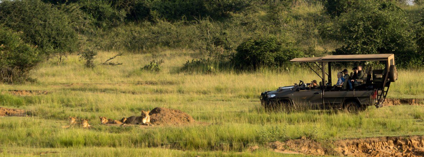 Akagera National Park