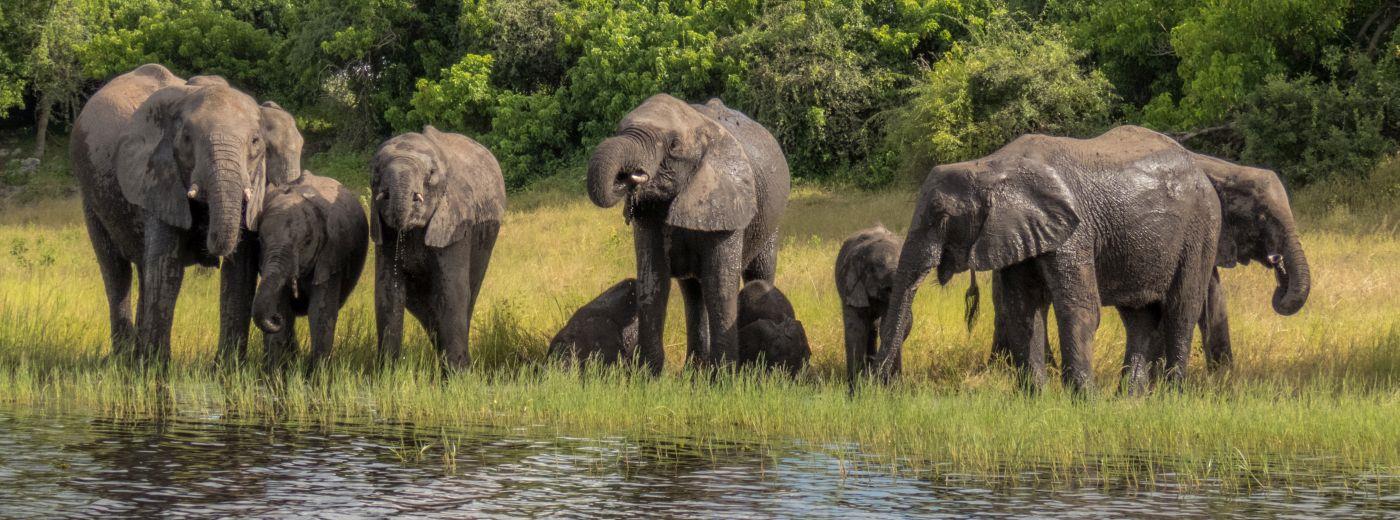 4 Night Victoria Falls and Chobe Houseboat Getaway