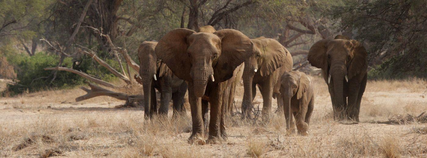 Namibia Northern Odyssey