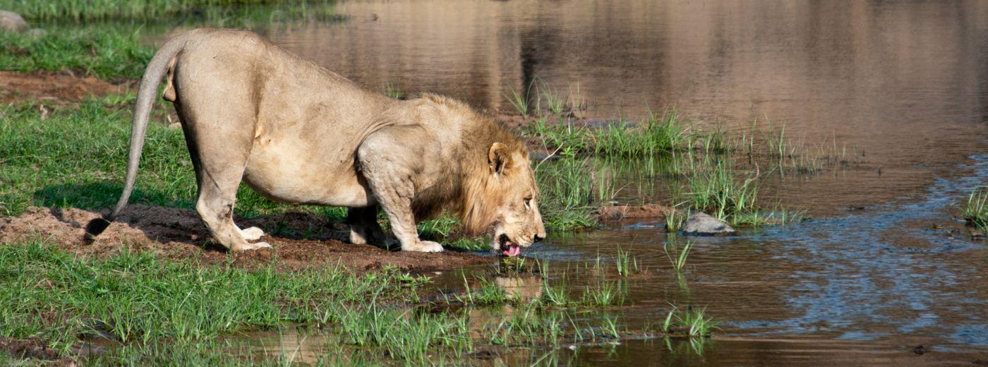 Entabeni Safari Conservancy, The Waterberg