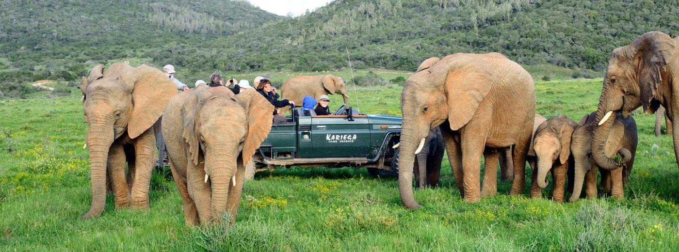 Kariega Game Reserve