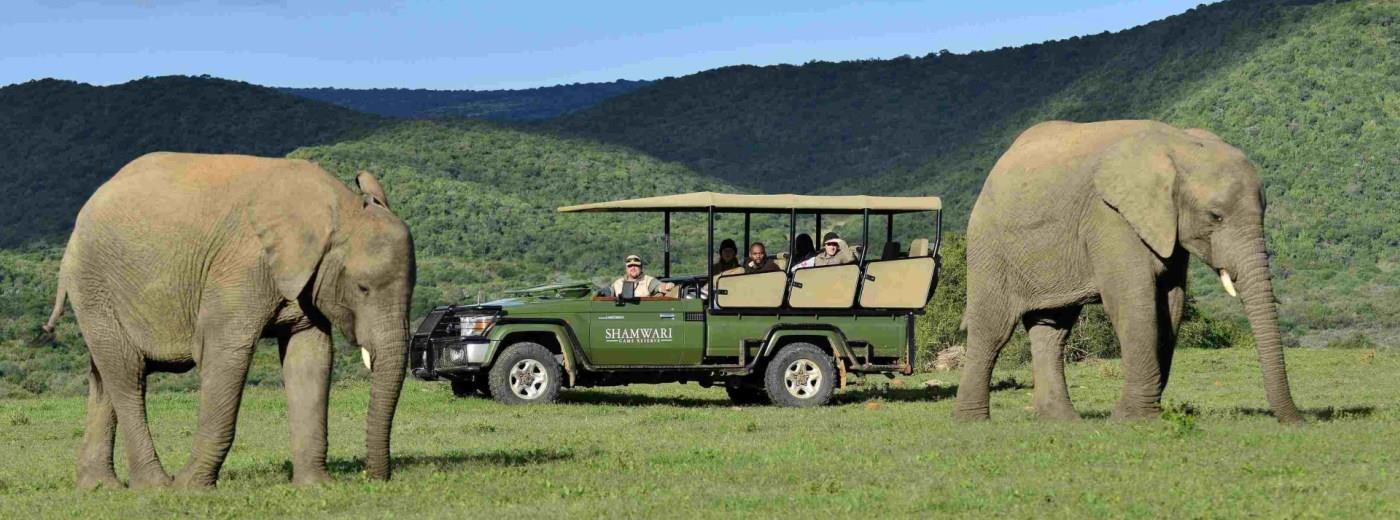 Stay 2 nights at Shamwari and get 3 nights FREE at selected hotels