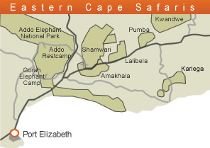 Eastern Cape Safari Lodges