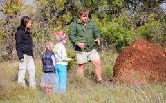 ITINERARY-5: A Family Holiday in South Africa