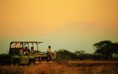 ITINERARY-02683: Safari Adventure Packages in Kenya