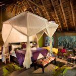 Jacis Safari Lodge: Stay 3 nights for the price of 2