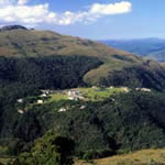 Picture 1