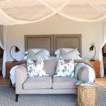 Thornybush Suite