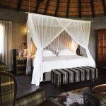 Motswari Game Lodge